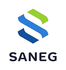 Saneg